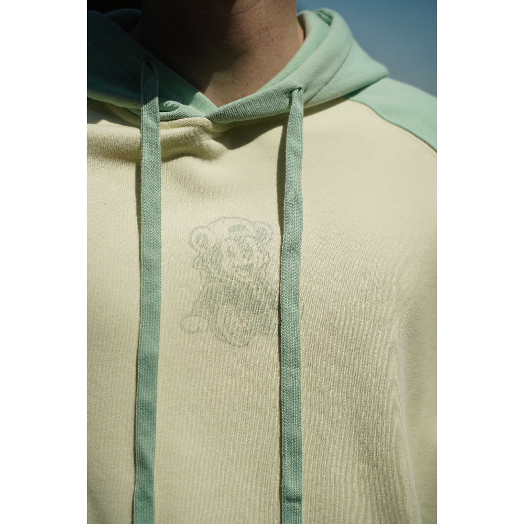 Cub | Raglan Sleeve Hoodie back view