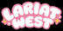 Lariat West - Home