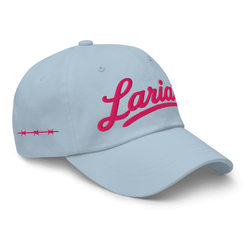 Wordmark Dad Hat, Light Blue, angled view